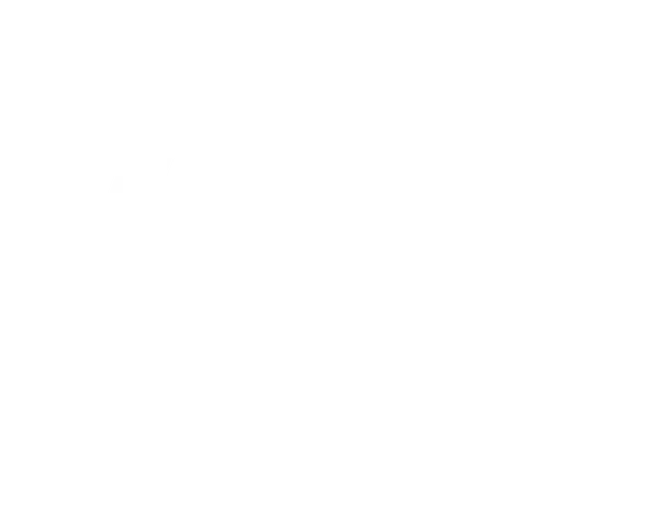HI! Human Intelligence